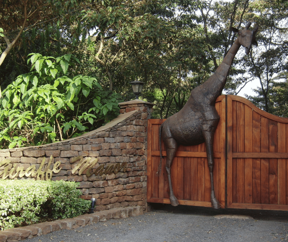 Giraffe Centre